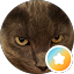 Profile photo of Danya D.