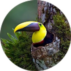 Profile photo of Stuart Foster