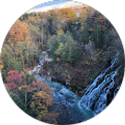 Profile photo of Sue Zemke