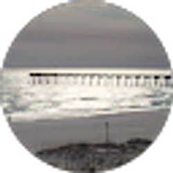 Profile photo of Mitzi Lafferty