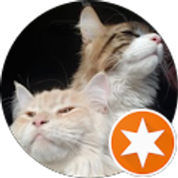 Profile photo of Cheryl Taylor