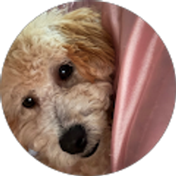 Profile photo of Laci Click