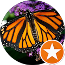 Profile photo of Tamera Marie