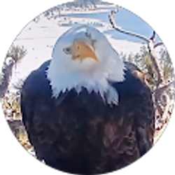 Profile photo of Deborah Spiller