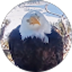 Profile photo of Deborah Spiller