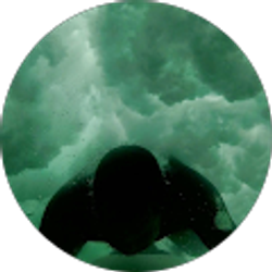 Profile photo of Bobby Myers