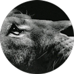 Profile photo of STEVEN TOBIAS