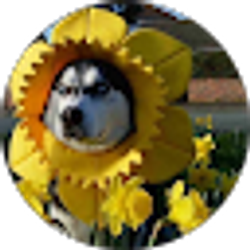 Profile photo of melody