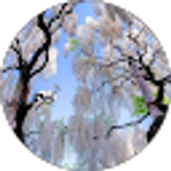 Profile photo of Barbara Jones
