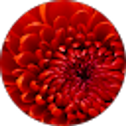 Profile photo of Amy Engelbert
