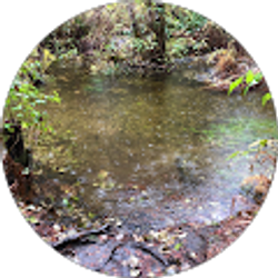 Profile photo of The Place