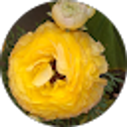 Profile photo of Archna Ch