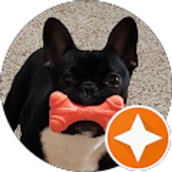 Profile photo of Cheri R. Dickey