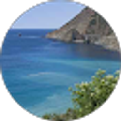 Profile photo of Mikkie