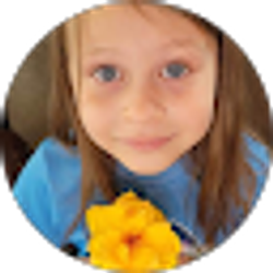 Profile photo of vince ybarrondo