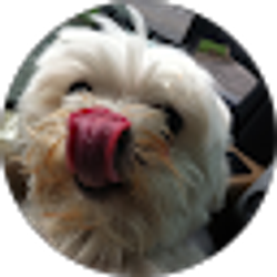 Profile photo of Troy C