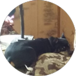 Profile photo of Bobby Smothers