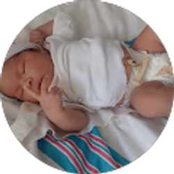 Profile photo of Rafael Robles Robles