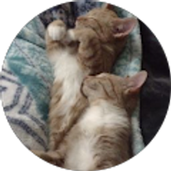 Profile photo of Jordan