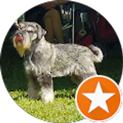 Profile photo of diane mitchell