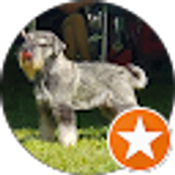 Profile photo of diane mitchell