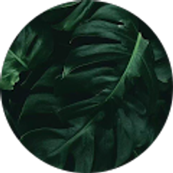 Profile photo of Kaylee Hall