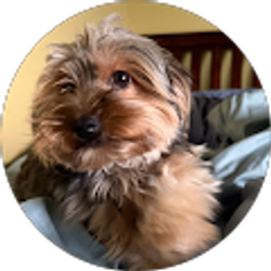 Profile photo of Heather Homer