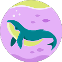 Profile photo of Aaron Hack