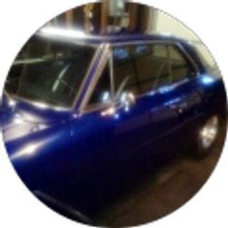 Profile photo of kelsey Thompson