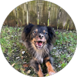 Profile photo of valerie “HeyItsVal” bernal