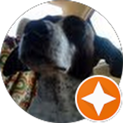 Profile photo of ben yeargan