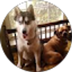 Profile photo of Tara Safoutin