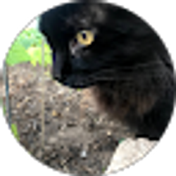 Profile photo of Marcus Goss