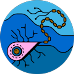 Profile photo of brittany dailey