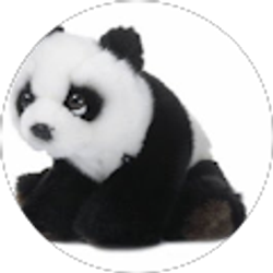 Profile photo of Miss Dreary Steak