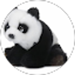 Profile photo of Miss Dreary Steak