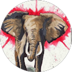 Profile photo of Terri Derryberry