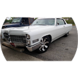 Profile photo of Steve Hurley