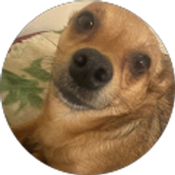 Profile photo of Rebeca Aguilar