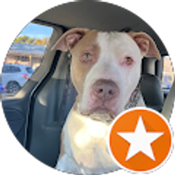 Profile photo of Lacee Petruce-Jackson