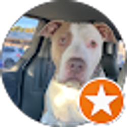 Profile photo of Lacee Petruce-Jackson