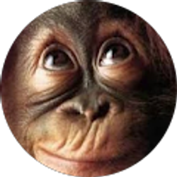 Profile photo of jamie spivey