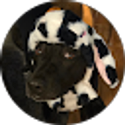 Profile photo of Ash E