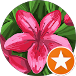 Profile photo of Praise God