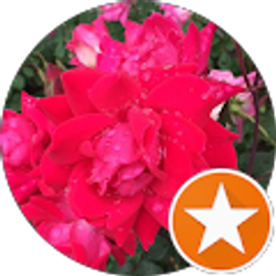 Profile photo of Morgan Logan