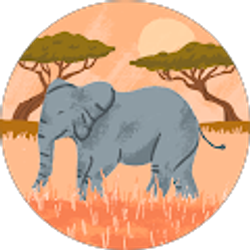 Profile photo of Beth