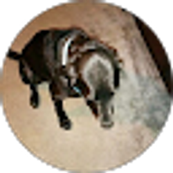 Profile photo of Ted Hughart