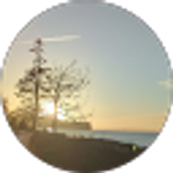 Profile photo of Shannon Evans