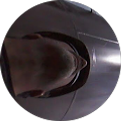 Profile photo of JQ Quintero (JQ)