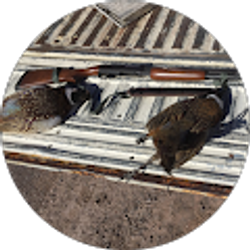 Profile photo of Tyler Mathews